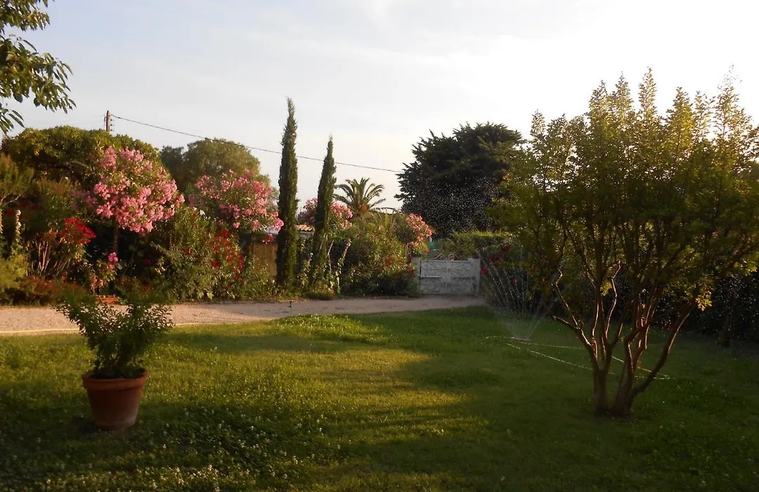 Chez Mamouska-1